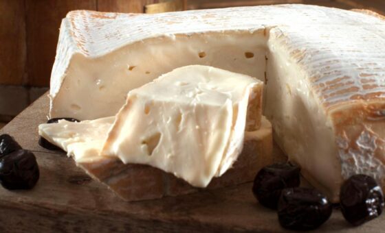 Taleggio