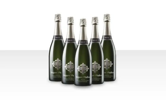 Segura Viudas Cava Brut Magnum