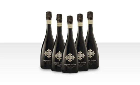Segura Viudas – 2023 Cava Brut Vintage